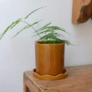 Plant Pot With Scalloped Saucer / Colours