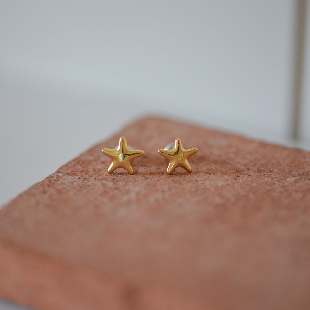 Andre Star Stud Earrings / Gold