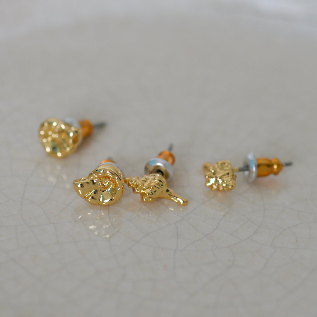 Force 2 in 1 Shell Stud Set in Gold