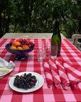 Pink and Red Tablecloth Paola