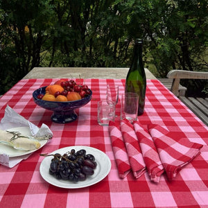 Pink and Red Tablecloth Paola