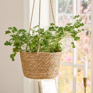 Seagrass Hanging Planter for Herbs/Plants