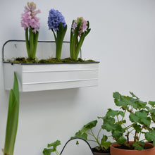 Load image into Gallery viewer, White Metal Wall Planter