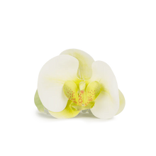 Load image into Gallery viewer, Green Orchid Claw Clip