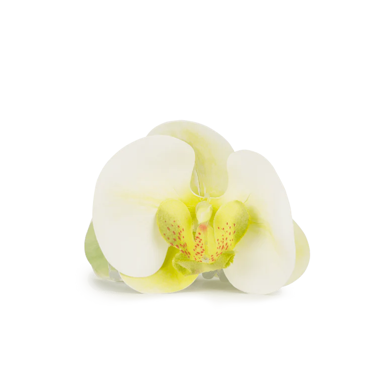 Green Orchid Claw Clip