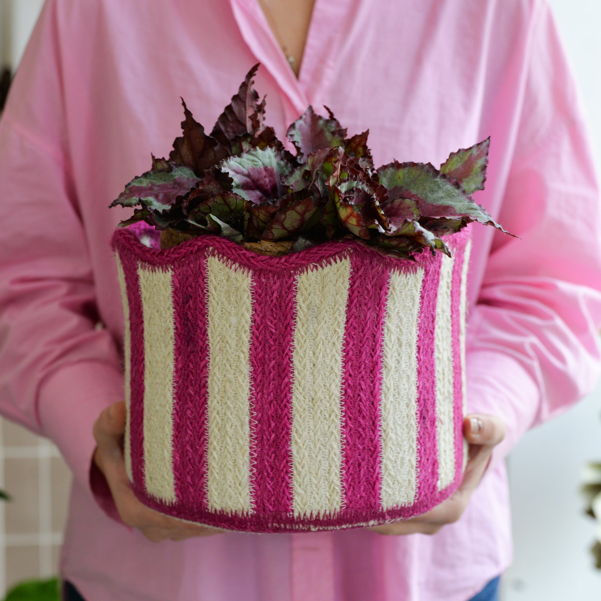 Braided Tulip Baskets / Colours