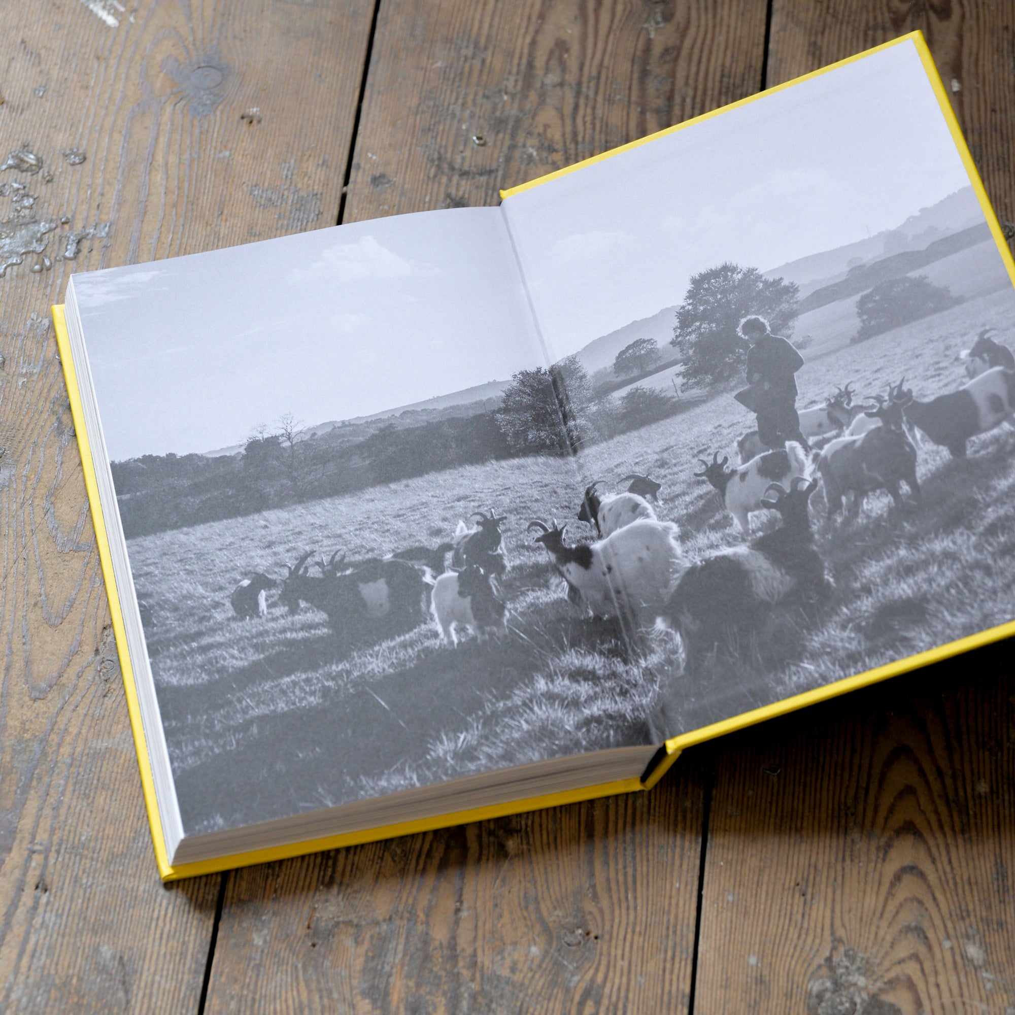 Farm Table: A Cookbook by Julius Roberts