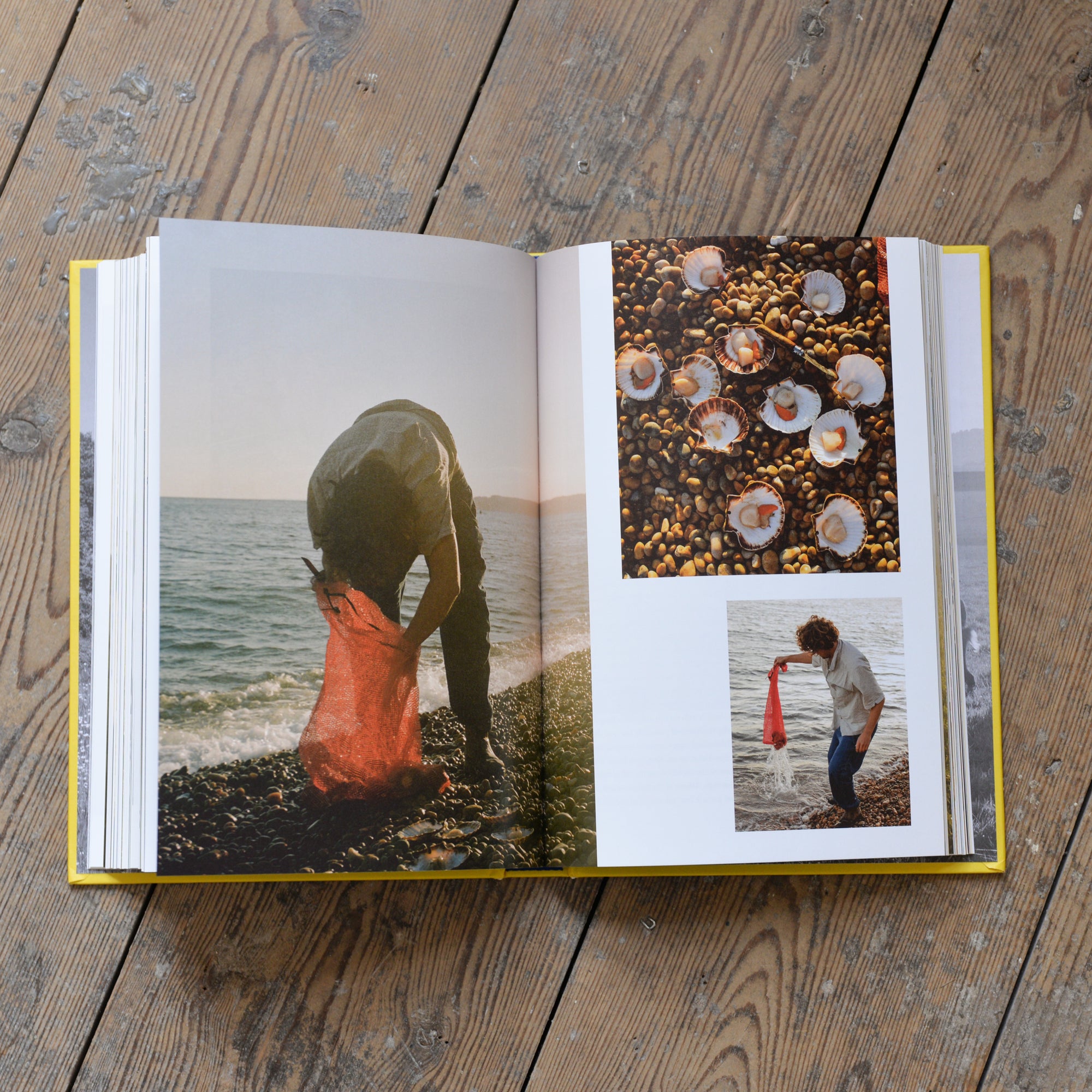 Farm Table: A Cookbook by Julius Roberts