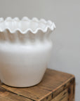 Evelina White Glazed Scalloped Plant Pot