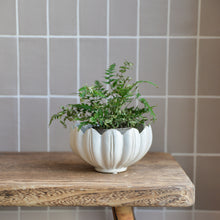 Load image into Gallery viewer, Leslie Bulb Planter / Off White