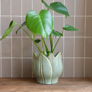 Leslie Plant Pot Light Green / Sizes