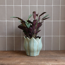 Load image into Gallery viewer, Leslie Plant Pot Light Green / Sizes