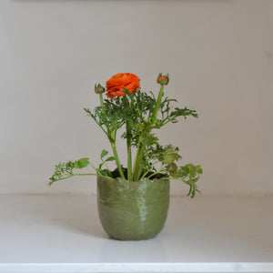 Liya Glazed Plant Pot / Various Sizes