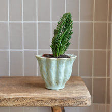 Load image into Gallery viewer, Malin Plant Pot / Green