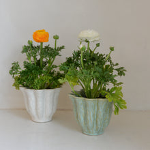 Load image into Gallery viewer, Malin Plant Pot / Green