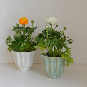 Malin Plant Pot / Green