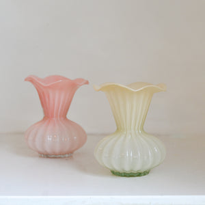 Tall Glass Floral Vase / Various Colours
