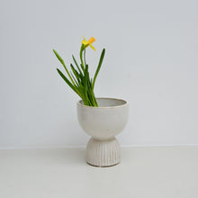 Load image into Gallery viewer, White Stoneware Hyacinth Vases / Styles