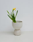 White Stoneware Hyacinth Vases / Styles