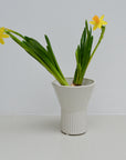 White Stoneware Hyacinth Vases / Styles