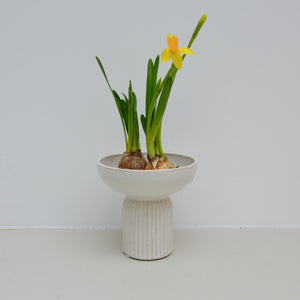 White Stoneware Hyacinth Vases / Styles