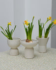 White Stoneware Hyacinth Vases / Styles
