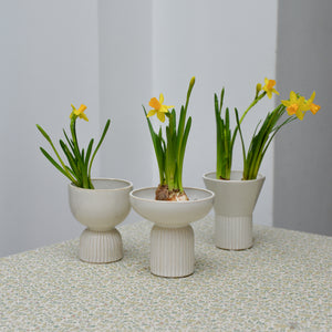 White Stoneware Hyacinth Vases / Styles