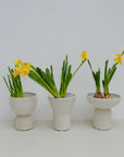 White Stoneware Hyacinth Vases / Styles