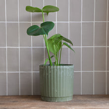Load image into Gallery viewer, Yodit Recycled Plant Pot / Green