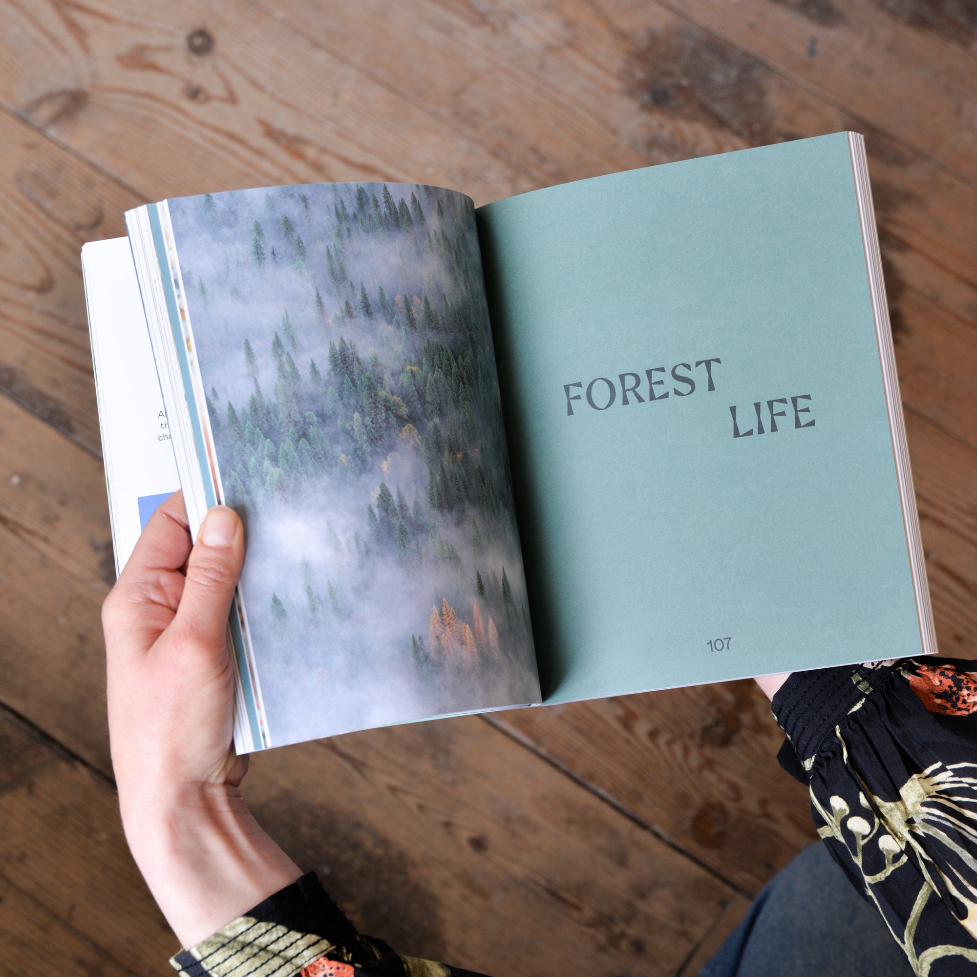 Wild Life: 50 Projects To Rewild Your Life