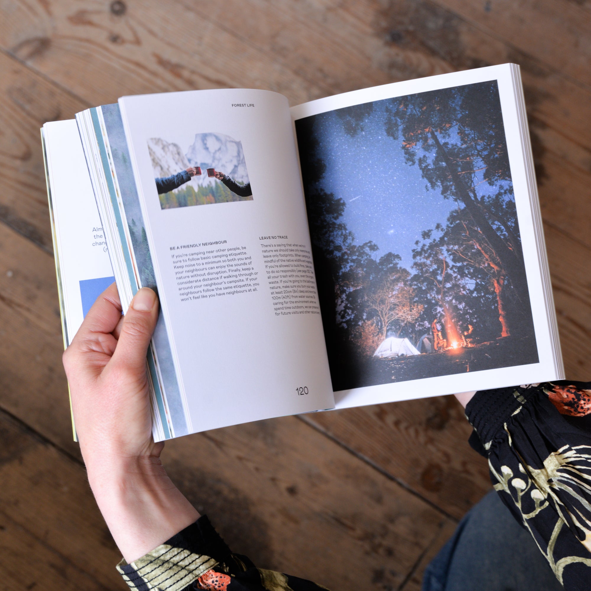 Wild Life: 50 Projects To Rewild Your Life