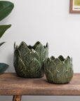 Nea Leaf Plant Pot / Sizes