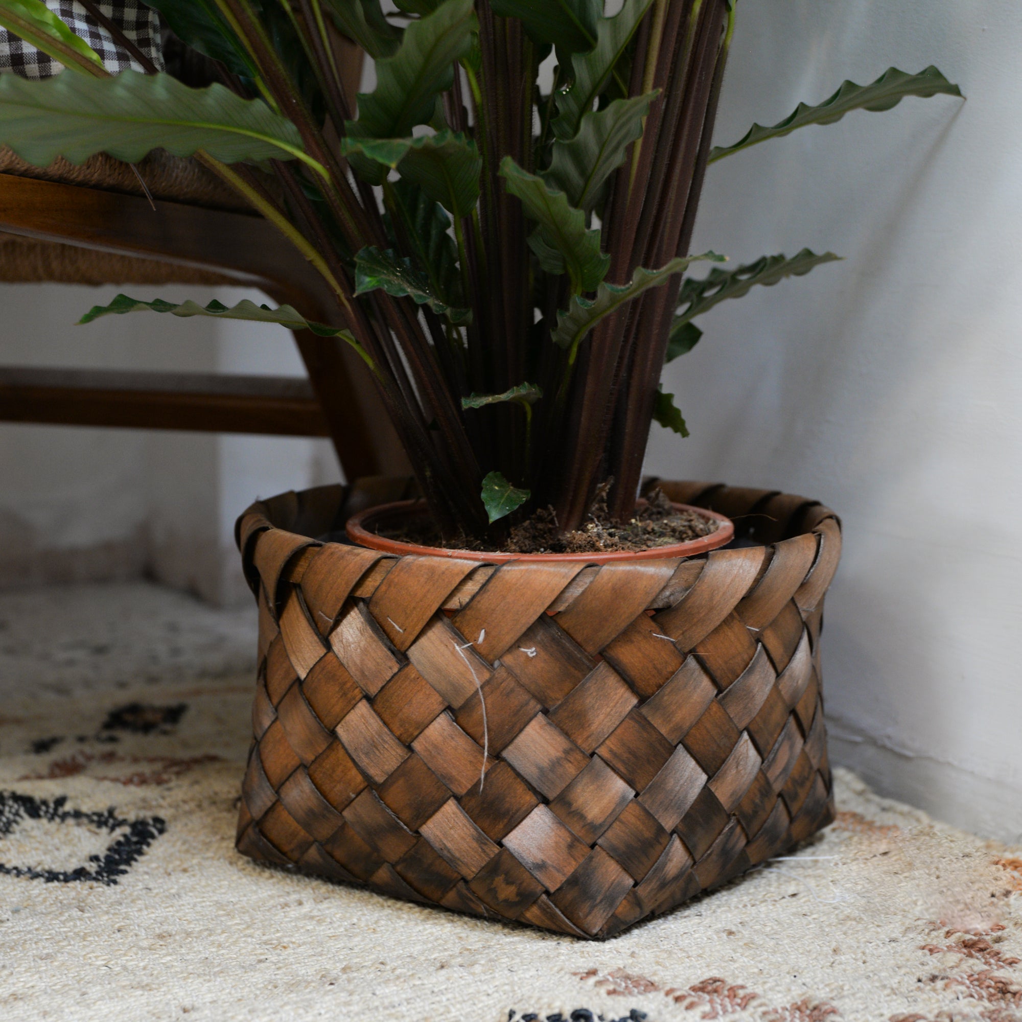 Nila Woven Plant Basket / Sizes