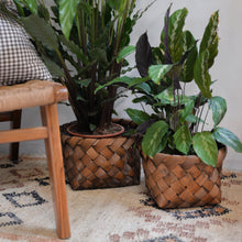 Load image into Gallery viewer, Nila Woven Plant Basket / Sizes