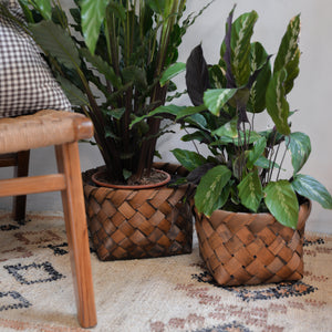 Nila Woven Plant Basket / Sizes
