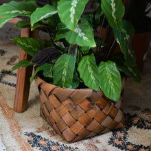 Load image into Gallery viewer, Nila Woven Plant Basket / Sizes