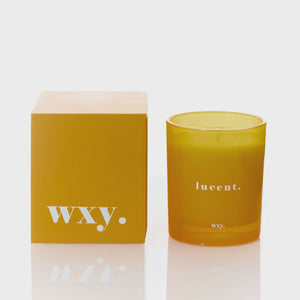 Wxy Candle 7oz / Lucent