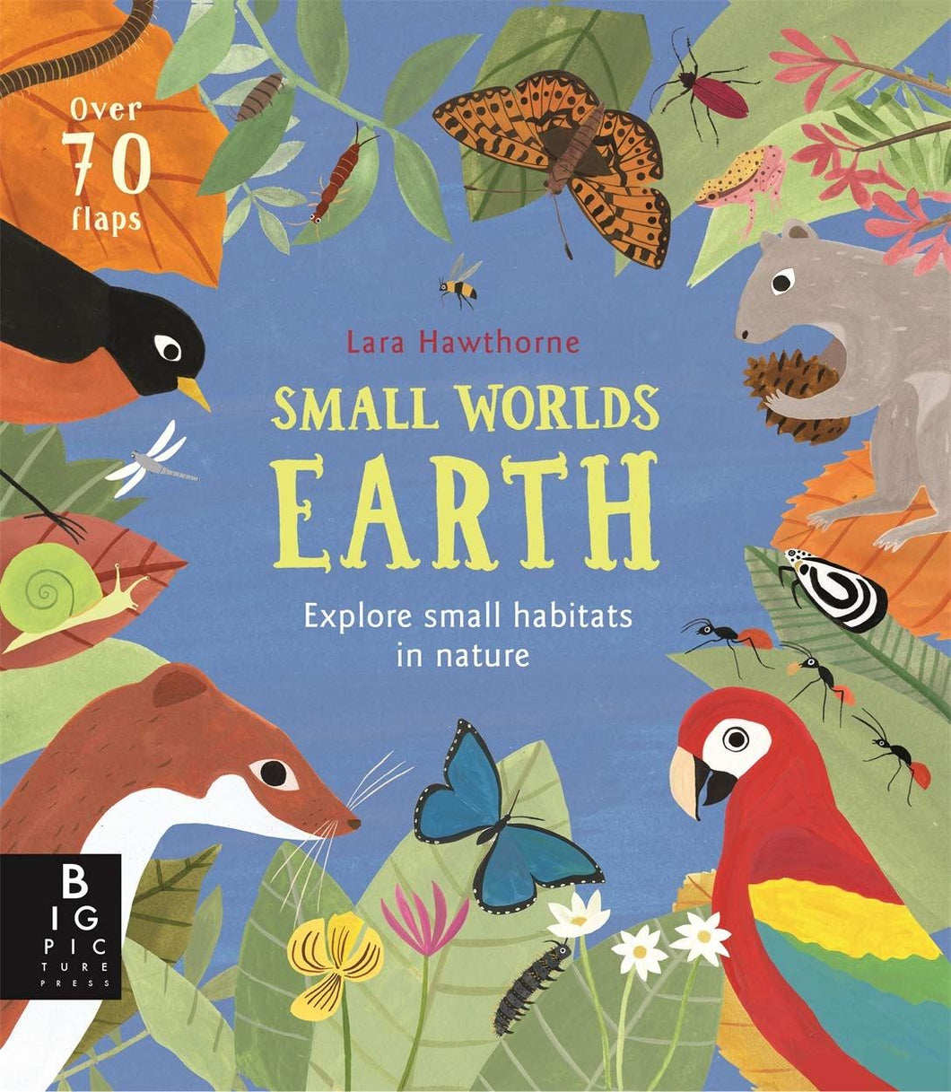 Small Worlds: Earth by Camilla De La Bedoyere & Lara Hawthorne