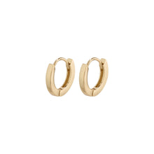 Load image into Gallery viewer, Arnelle Small Gold Plated Hoops