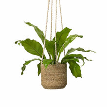 Load image into Gallery viewer, Belle Jute Hanging Pot