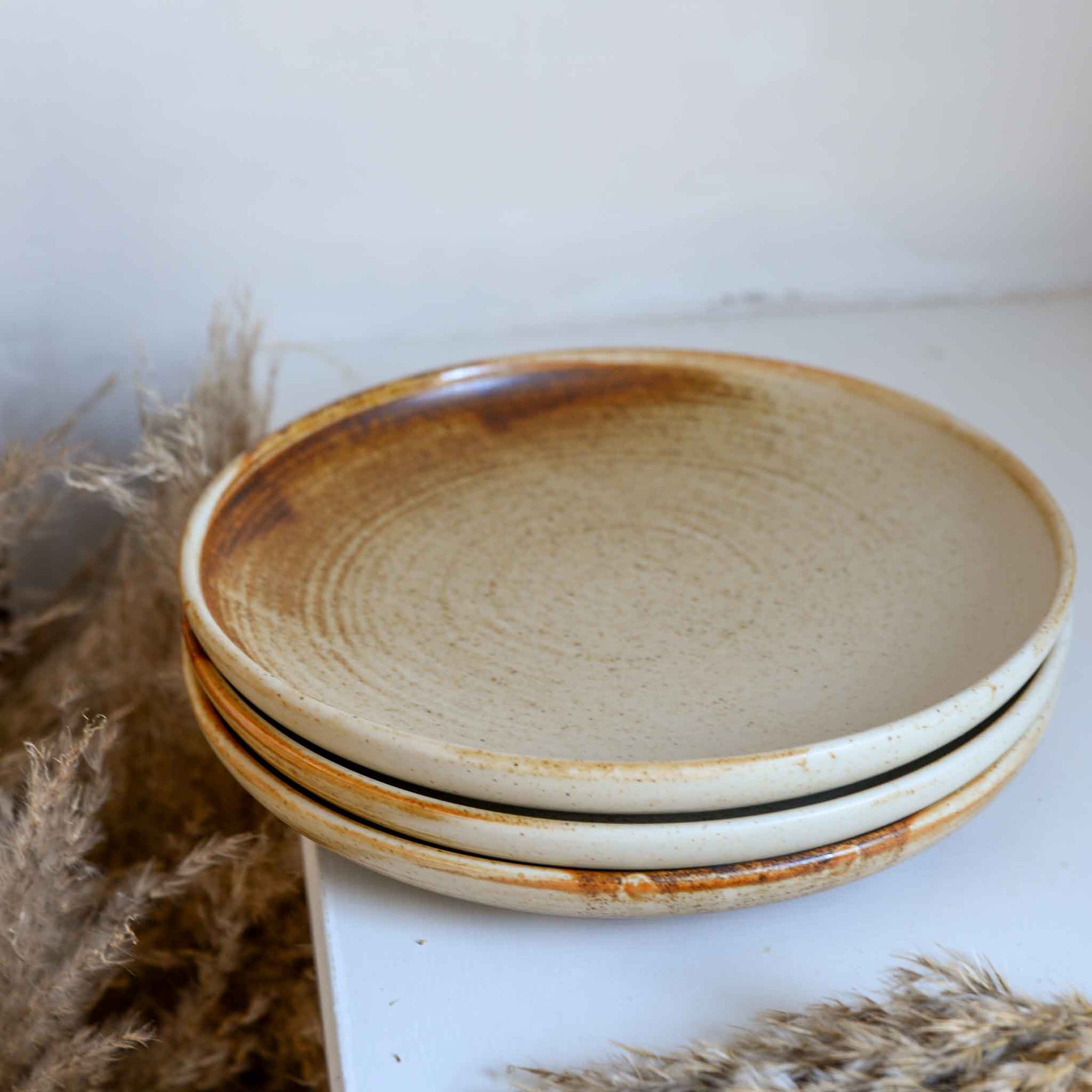 Ceramic Dinner Plate in Rustic Cream/Brown