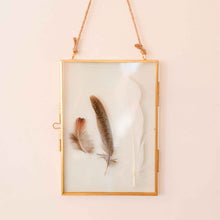 Load image into Gallery viewer, Nordal Gold Edged Glass Frame