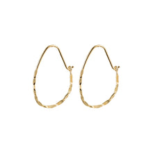 Load image into Gallery viewer, Olena Gold Plated Textured Hoop Earrings