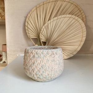 terracotta textured plant pot light colour sera