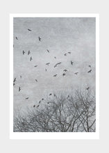 Load image into Gallery viewer, &#39;Crows&#39; Art Print by Ingrey Studio 50x70