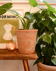 Wikholmform Lucy Terracotta Plant Pots
