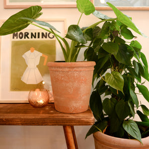 Wikholmform Lucy Terracotta Plant Pots