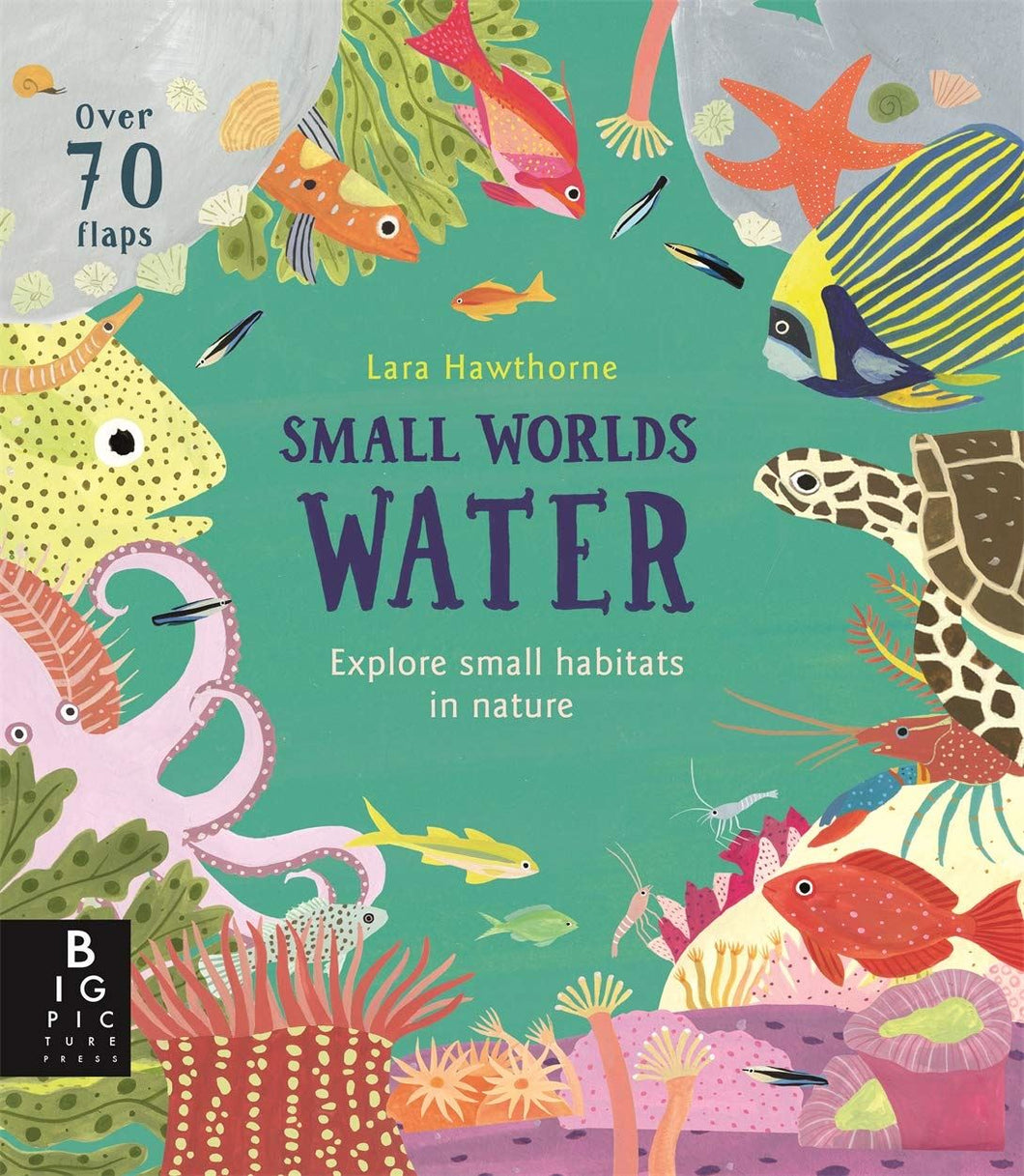 Small Worlds: Water by Lily Murray & Lara Hawthorne