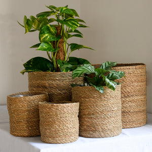 baskets-for-plants