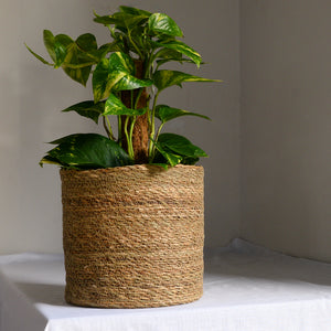 Natural Jute Planter in Five Sizes